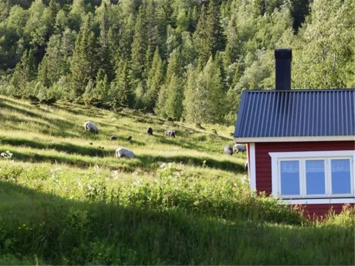 STF Almdalens Fjällgård