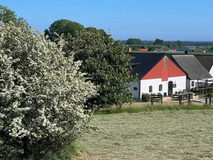 STF Backadal Gård B&B Ystad