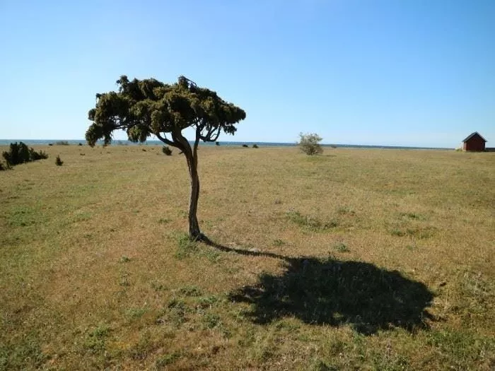 STF Närsholmen Fyr & Logi