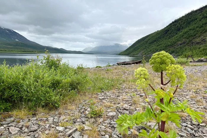 STF Teusajaure Fjällstuga