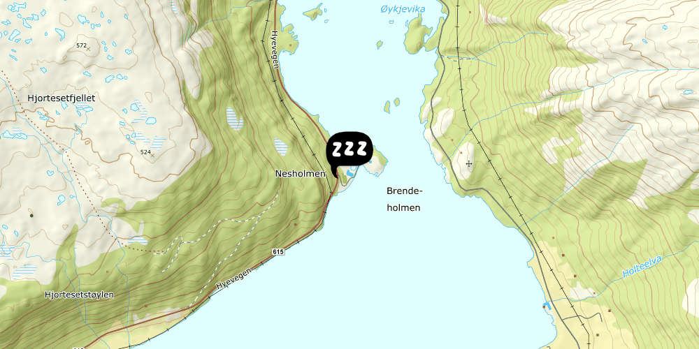 Map showing the location of Nesholmen